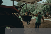 朋友圈发采摘心情的句子(常用的保护电气有那些？常用的低压开关电气有哪些？常用成套低压电气设备有哪些？各有什么用途)