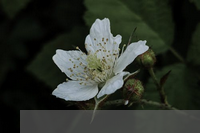 种植蔬菜的感想和收获(种菜什么时候开始收割蔬菜的收获季节)