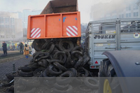 记一次采摘活动作文(摘果子的作文350字 开心的一天)