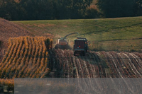采摘收获朋友圈说说怎么写(朋友圈发采摘野果心情的句子)